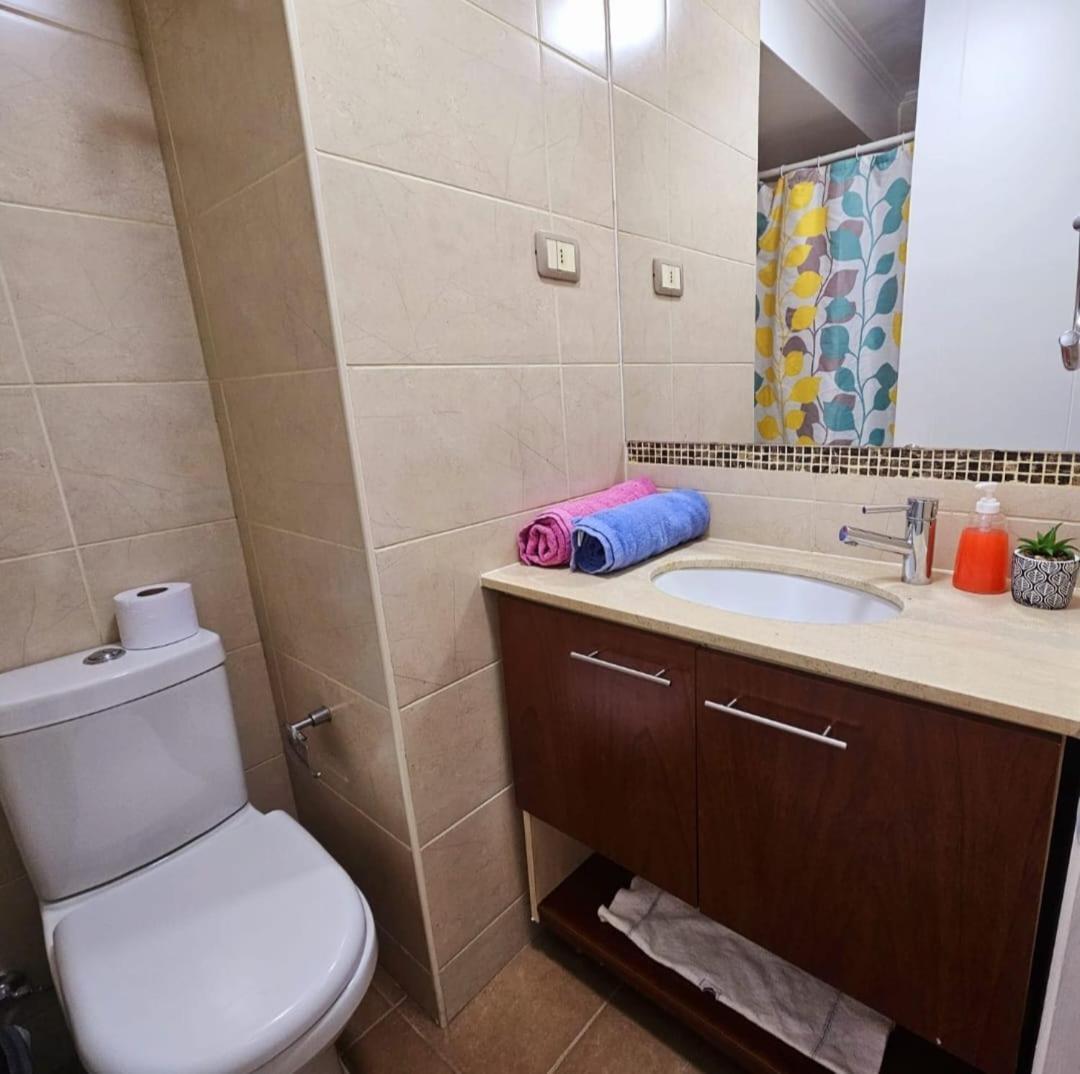 Apart Hotel Suagon Suites Santiago Centro Екстериор снимка