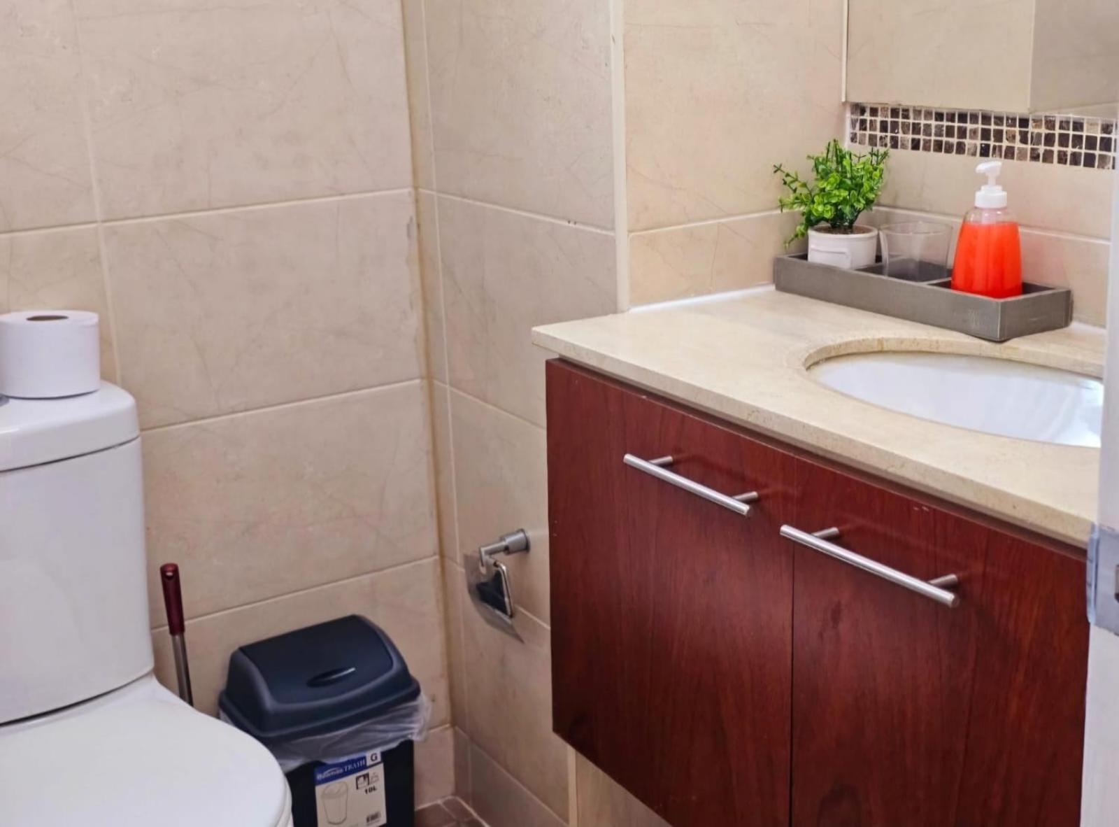 Apart Hotel Suagon Suites Santiago Centro Екстериор снимка